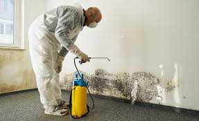 Best Biohazard Mold Removal in Thomas, OK